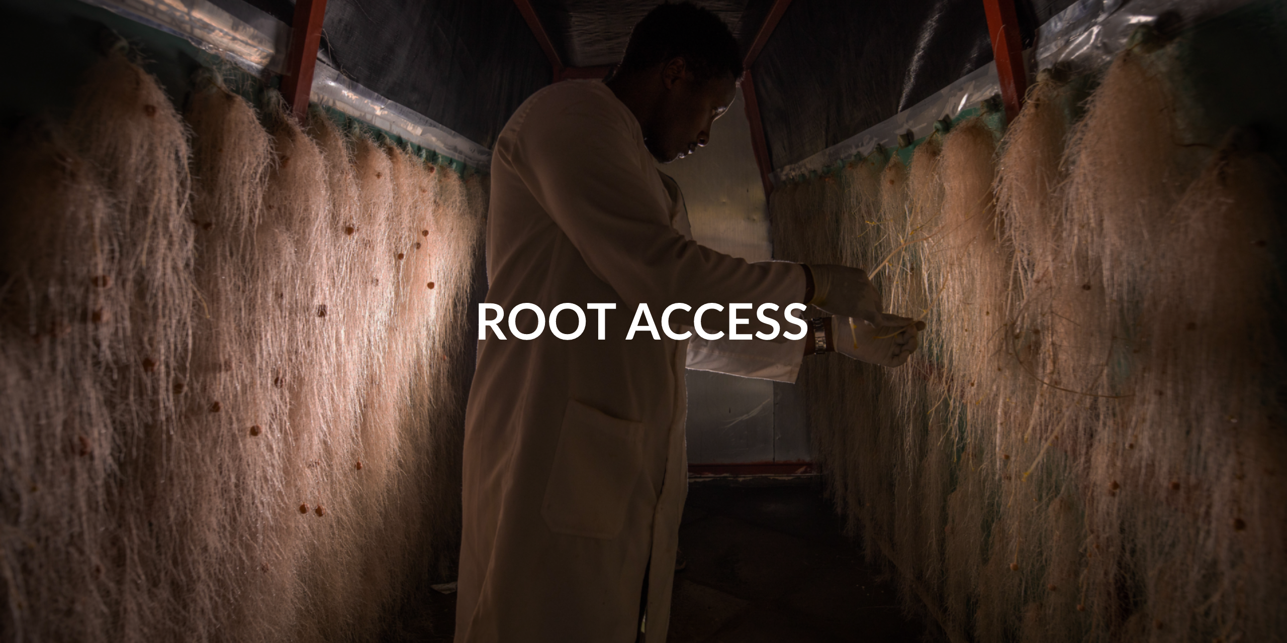 Root Access